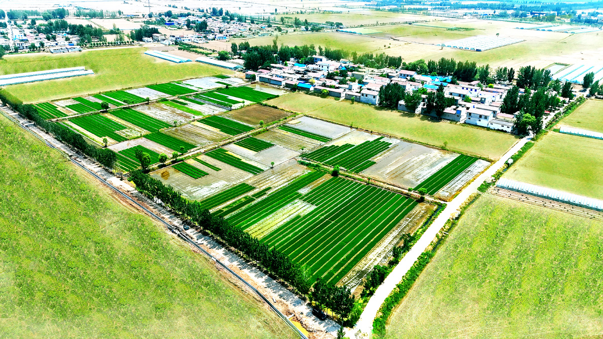濟寧市任城區高標準農田建設項目